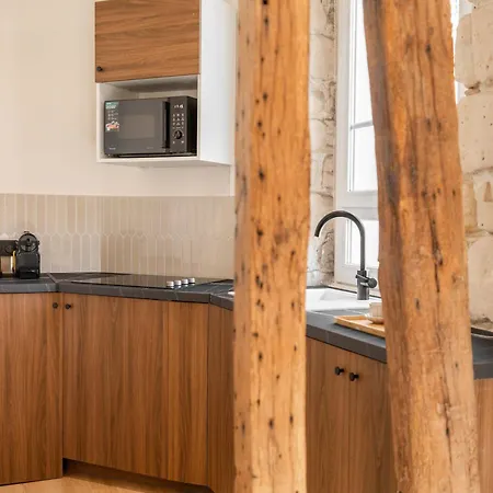 Apartment New Heaven Near Louvre Museum Paris